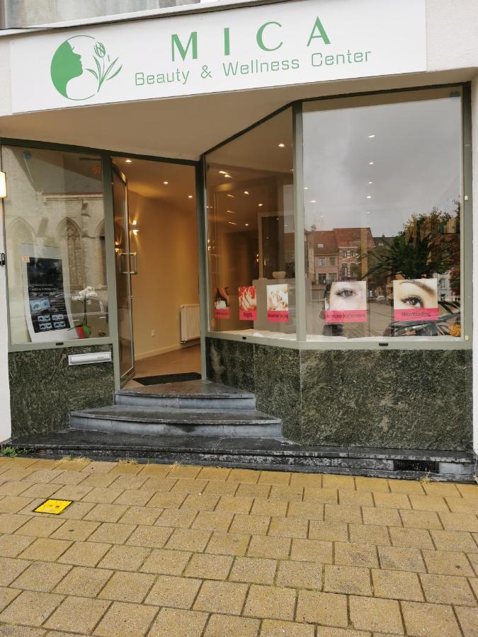Mica Beauty & Wellness Center Apartman Temse Kültér fotó